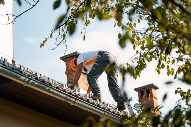 Gutter Installation and Roofing in Nokesville, VA