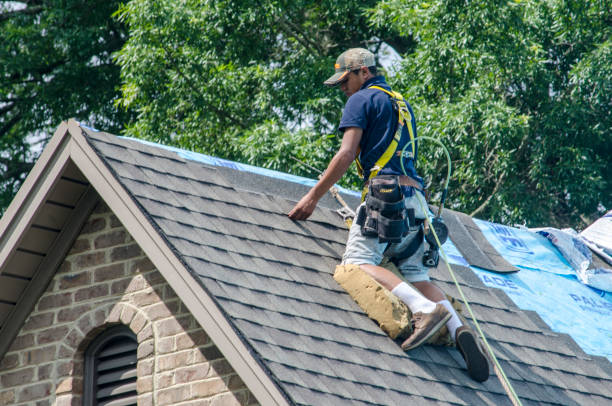 Roof Gutter Cleaning